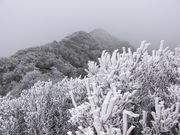 てんてんさんの雲仙岳の投稿写真1