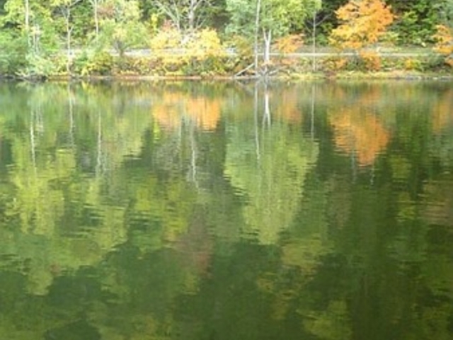 カルマさんのチミケップ湖キャンプ場の投稿写真1