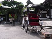 おでかけずきさんの人力車えびす屋鎌倉の投稿写真1