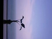 まぁさんの大瀬海水浴場の投稿写真1