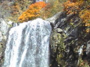 しげさんの中ノ又渓谷・安の滝の投稿写真1