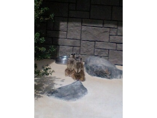 浜松市動物園