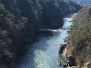 ジュミさんの鬼怒川温泉ふれあい橋の投稿写真1