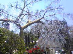 箱根ガラスの森美術館の写真1