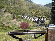 EXILEラブさんの質志鐘乳洞公園キャンプ場の投稿写真1