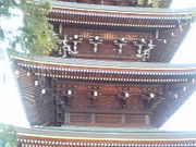 せいめいさんの長禅寺の投稿写真1