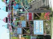 向日葵さんの月の丘公園の投稿写真1