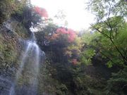 ごじらさんの清滝(大分県竹田市)の投稿写真1