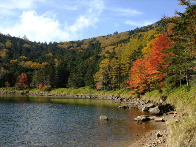 双子池キャンプ場
