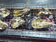 036さんのかき処・海の投稿写真1