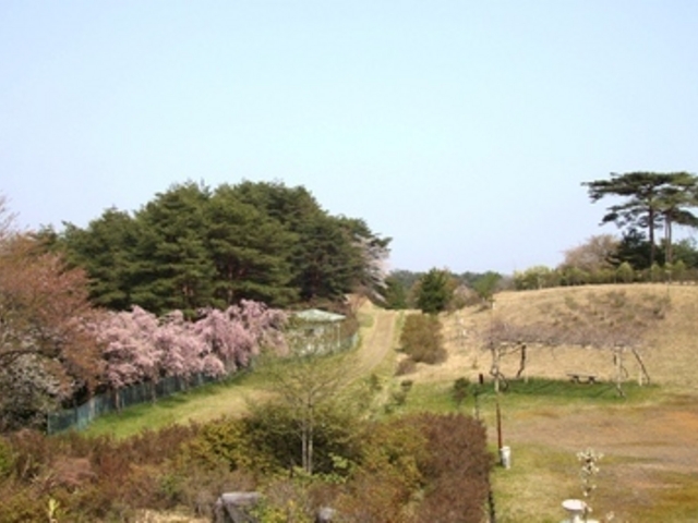 仙台人ブロガーの与平さんのいこいの森の投稿写真1