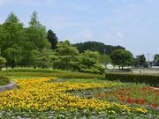 仙台人ブロガーの与平さんの佐藤製線スポーツパークわたり(亘理公園)の投稿写真1