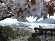 はっしーさんの手宮公園の投稿写真1