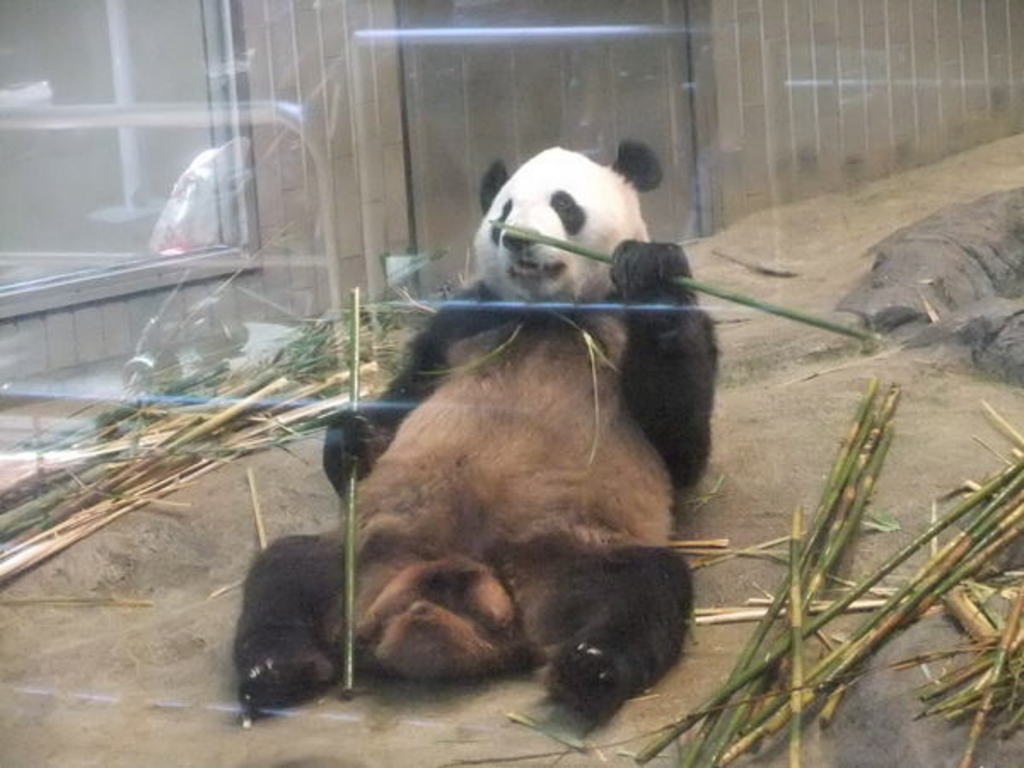 上野動物園