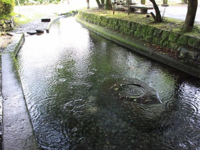 ぐりんあいすさんの清水の湧水の投稿写真1