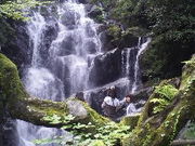 ミルキーママさんの白糸の滝の投稿写真1