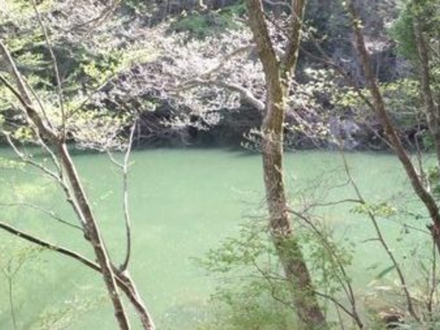 さやかさんの三河湖の投稿写真1