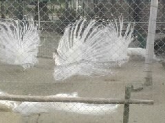 熊本市動植物園の写真1