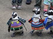 NICさんの松江フォーゲルパークの投稿写真1