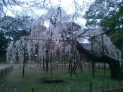 リコさんの弘法寺の投稿写真1