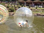 ムラちゃんさんの神崎農村公園ヨーデルの森の投稿写真1