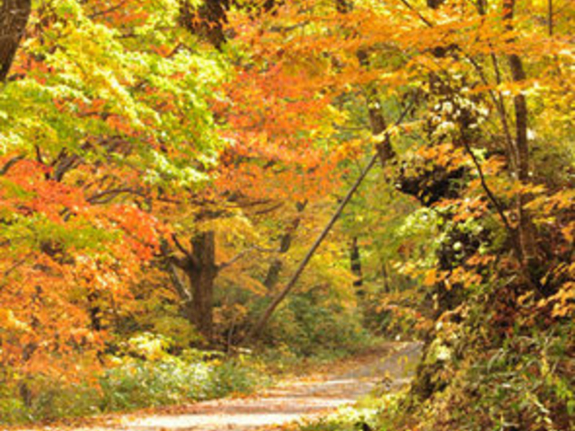 cocottさんの品沢高原の投稿写真1