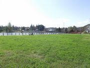 雷雷クーンさんの大沼公園の投稿写真1