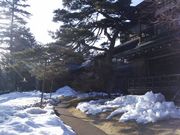 よーさんさんの日光田母沢御用邸記念公園の投稿写真1