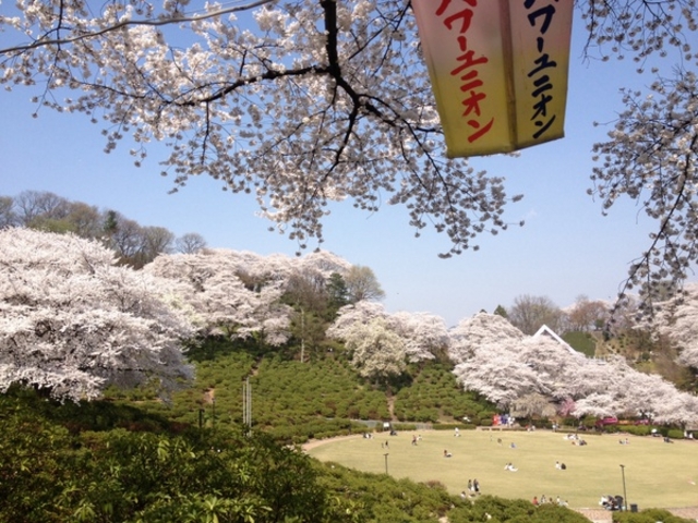 西山公園