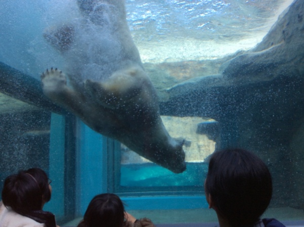 静岡市立日本平動物園