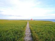 唐澤さんの落石岬の投稿写真1