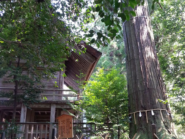 須佐神社(島根県出雲市)