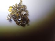 よしみんさんの川尻海岸の投稿写真2