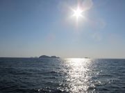 ともちんさんの舳倉島の投稿写真5