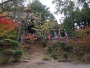 ユッケさんの妙見山の投稿写真4