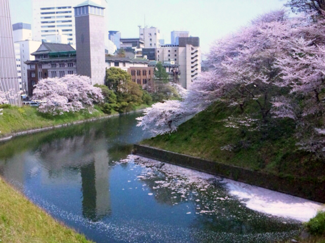 街並みと千鳥ケ淵_千鳥ケ淵