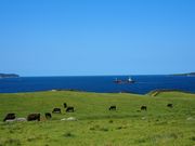 yupimoさんの加部島の投稿写真2