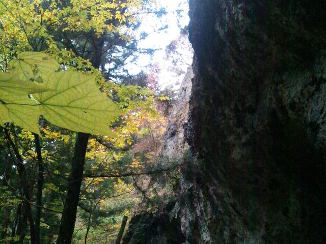 ゆみぶさんの角間渓谷の投稿写真1