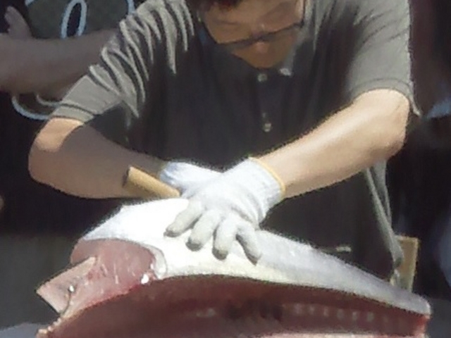 解体ショーで解体中のマグロです。_ウオッセ21水産物即売センター
