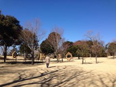 remukoさんの鹿児島県霧島アートの森への投稿写真2