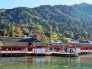 まこさんの嚴島神社の投稿写真1