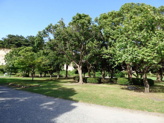 本牧市民公園_本牧市民公園