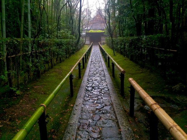 竹の道 苔の緑と敷石道_高桐院