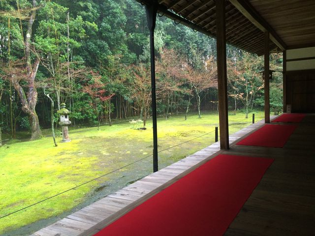客殿(本殿)南庭 『楓の庭』_高桐院