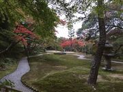 たくさんの吉城園の投稿写真4