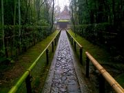 あがっち!さんの高桐院の投稿写真1