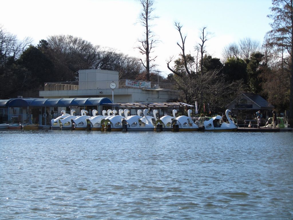 井の頭恩賜公園