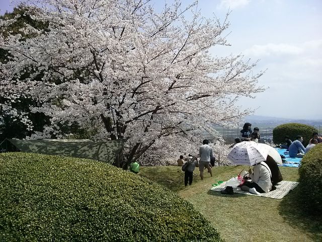家族づれが多くいました_朝日山公園