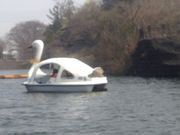 りりーさんのえひめこどもの城 とべもりジップラインの投稿写真1