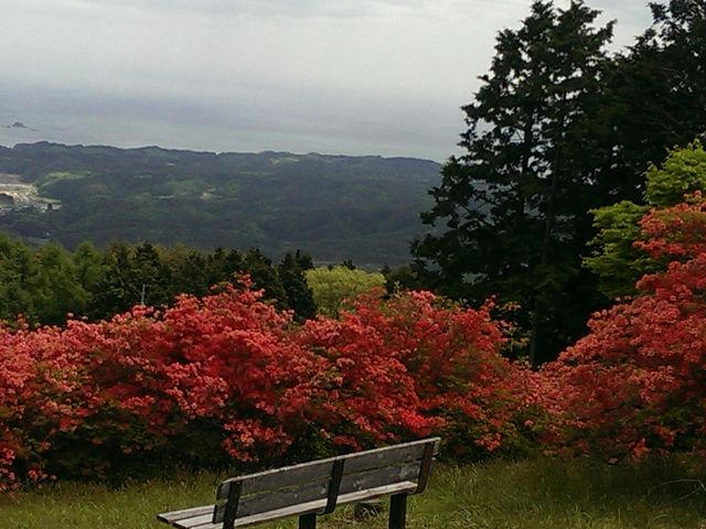アンさんの田束山の投稿写真1